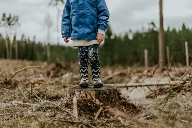 child wildschooling and standing on stump in nature.