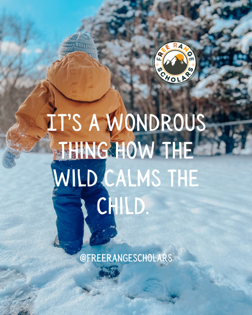 unschooling, nature schooling